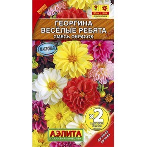Георгина Веселые ребята, смесь сортов --- Одн